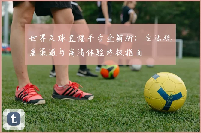 世界足球直播平台全解析：合法观看渠道与高清体验终极指南